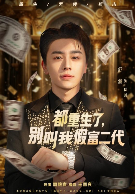 《都重生了，别叫我假富二代》-VIP部落