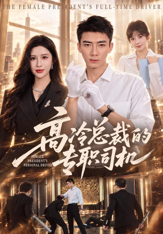《高冷总裁的专职司机》-VIP部落