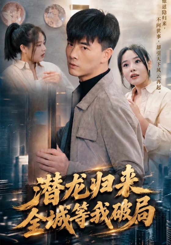 《潜龙归来，全城等我破局》-VIP部落