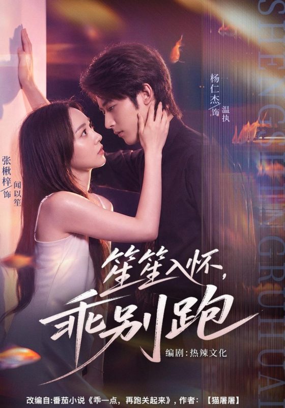 《笙笙入怀，乖别跑》-VIP部落